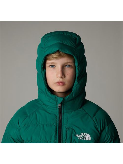 b drew peak p/o hoodie THE NORTH FACE | NF0A88TWNL11NL1